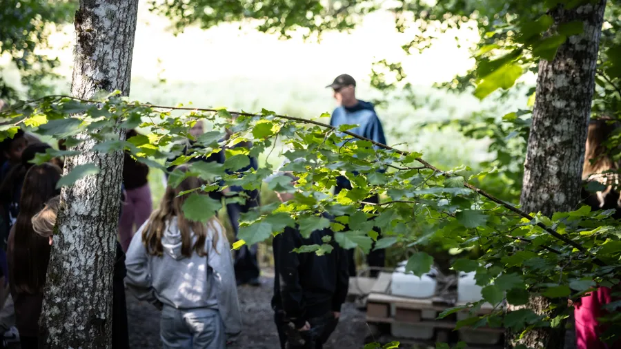 Nynäshamns naturskola gör olika aktiviteter kring sin byggnad