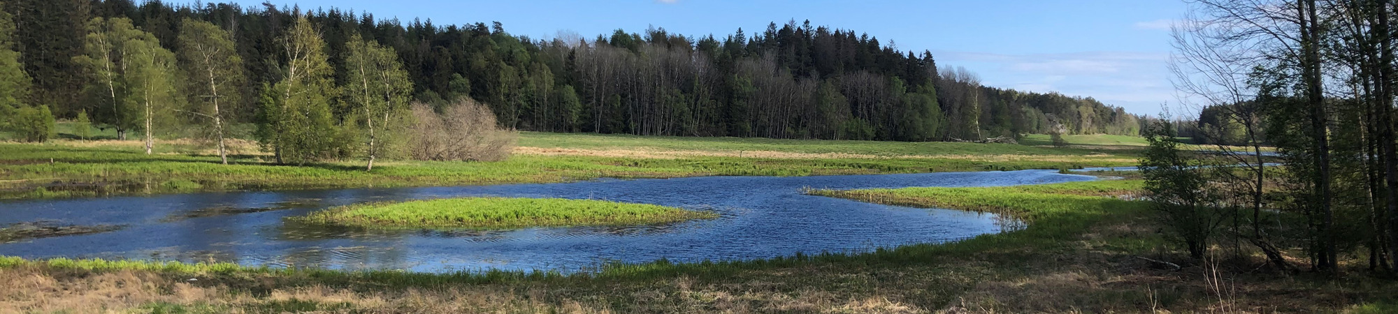 Vatten och växtlighet vid Alhagen