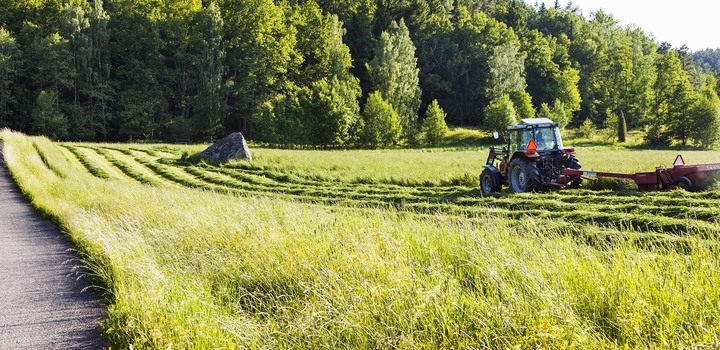 Traktor slår gräs på fodervall.