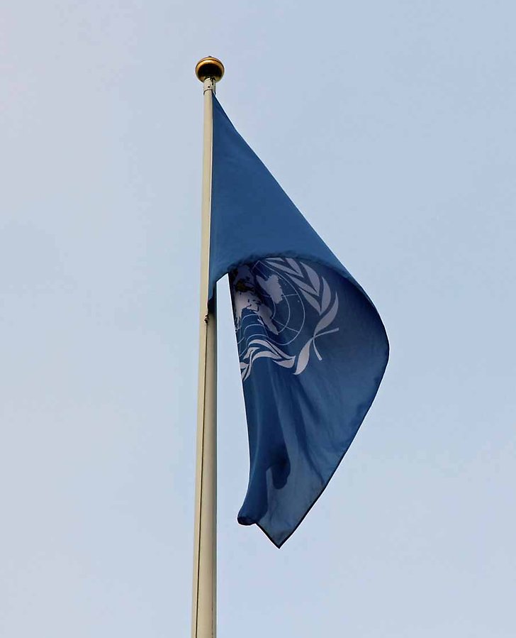 FN-flaggan